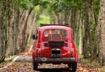 Ile kosztuje nowy Fiat Qubo?