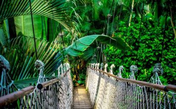 Jakie liny na fały?