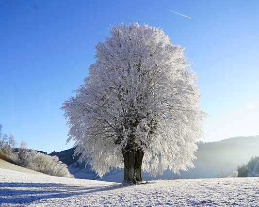 Czy czterokołowcem lekkim można jeździć bez prawa jazdy?