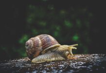 Do czego służy zimne powietrze w suszarce?