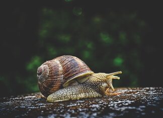 Do czego służy zimne powietrze w suszarce?