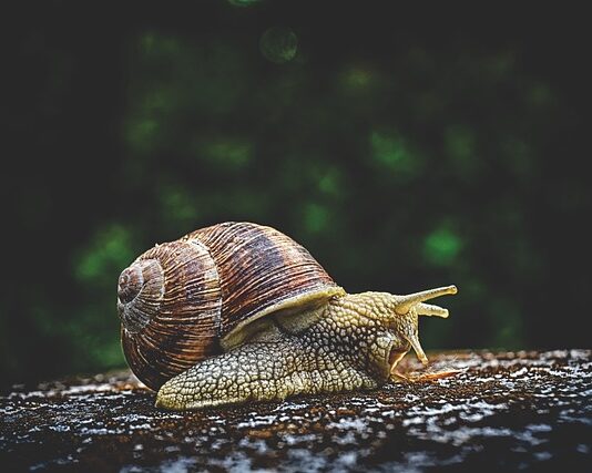 Do czego służy zimne powietrze w suszarce?