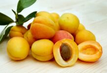 Czy suszone morele powodują wzdęcia? Czy suszone morele powodują wzdęcia?