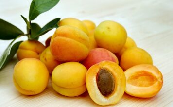 Czy suszone morele powodują wzdęcia? Czy suszone morele powodują wzdęcia?